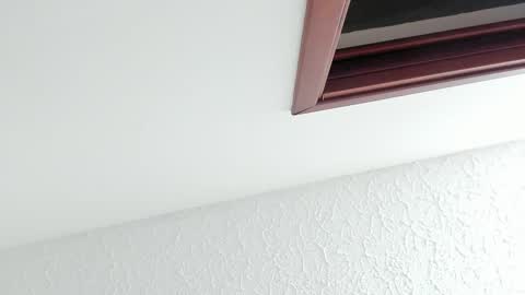 Snapshot of kissmesara chatting on February 27, 2026, 12:16 pm Sara online show from February 27, 2026, 12:16 pm