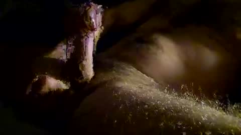 Kitkat loco online show from November 28, 2025, 1:14 pm