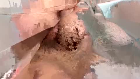 kitkatmac online show from January 3, 2025, 7:29 pm