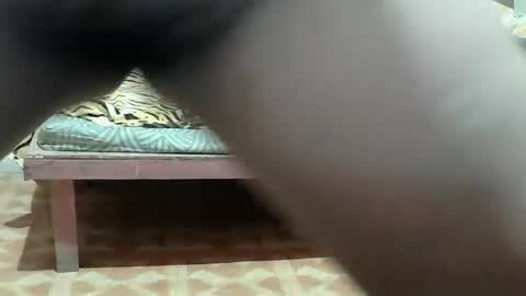 Kitty online show from March 25, 2026, 10:49 pm