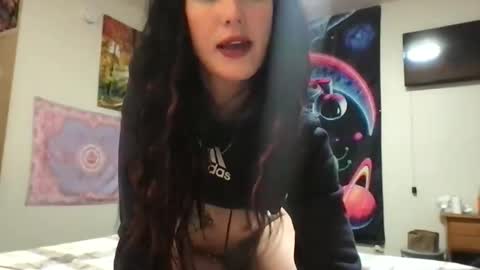 Snapshot of kittycatkendra chatting on March 18, 2026, 6:38 am kittycatkendra online show from March 18, 2026, 6:38 am
