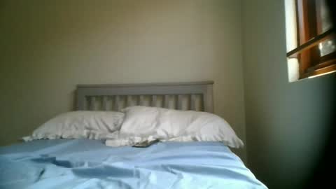 kittygulf online show from February 13, 2026, 8:32 am