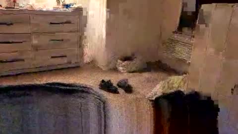 Snapshot of kittykat175154 chatting on February 27, 2026, 10:04 am kittykat175154 online show from February 27, 2026, 10:04 am