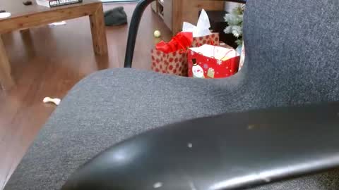 klok6187 online show from December 23, 2024, 4:01 am