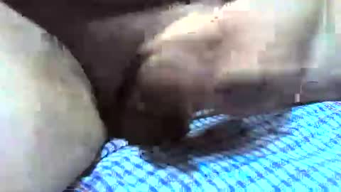 klok8230 online show from December 16, 2025, 2:38 am