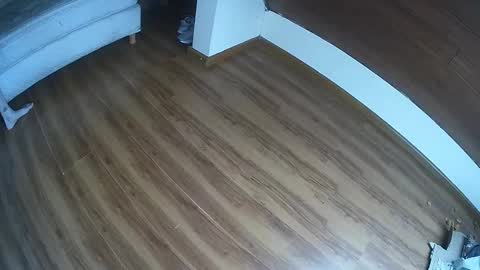 Snapshot of klowrash chatting on January 30, 2025, 5:28 pm Klowrash online show from January 30, 2025, 5:28 pm