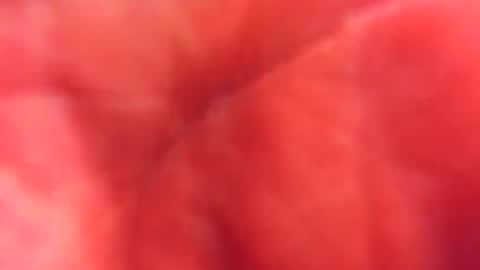 kobayaske online show from February 15, 2025, 12:15 am