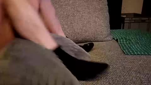 Snapshot of koelie1982 chatting on December 19, 2024, 1:28 am koelie1982 online show from December 19, 2024, 1:28 am