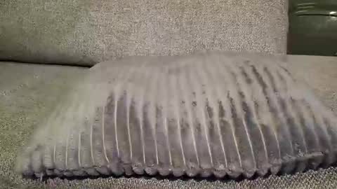 Snapshot of koelie1982 chatting on January 22, 2025, 1:10 am koelie1982 online show from January 22, 2025, 1:10 am