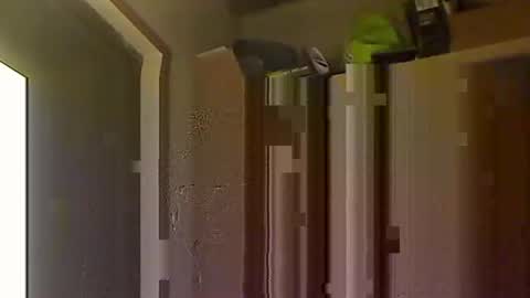 kokin3034 online show from October 8, 2025, 4:43 am