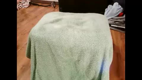 Snapshot of kotek400 chatting on January 30, 2025, 8:10 pm kotek400 online show from January 30, 2025, 8:10 pm