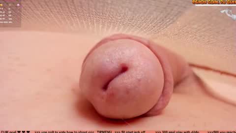 Petra online show from February 19, 2026, 8:05 pm