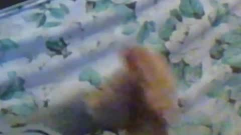 kren565656 online show from December 10, 2024, 11:32 am