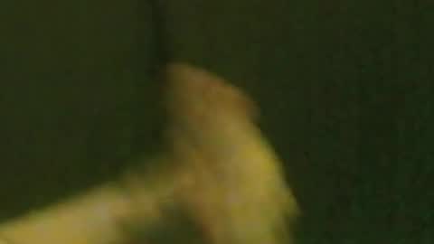 kren565656 online show from September 21, 2025, 10:06 am