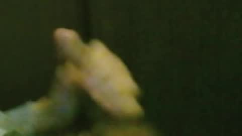 kren565656 online show from October 20, 2025, 8:26 am