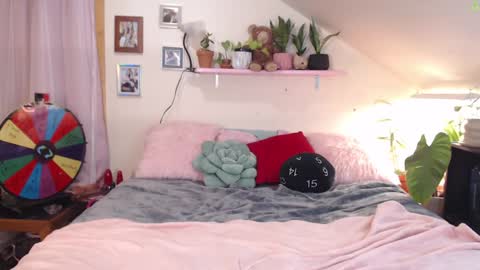 ladyboyhomemaker online show from January 25, 2025, 8:00 am