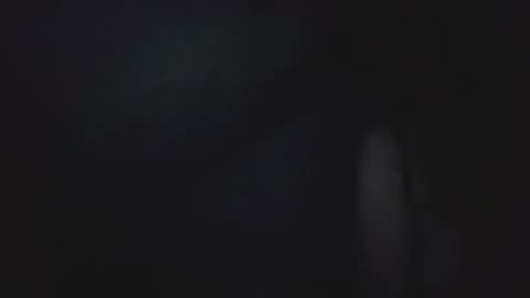 I work 5PM to 9 PM EST  New York online show from April 25, 2026, 9:45 pm