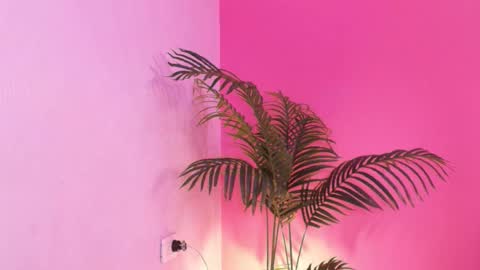 Snapshot of lana_ortega chatting on January 18, 2026, 2:59 am LANA online show from January 18, 2026, 2:59 am