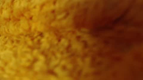 laralhotr online show from December 27, 2024, 1:11 am