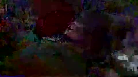 Snapshot of larry_125 chatting on November 23, 2025, 2:28 pm larry_125 online show from November 23, 2025, 2:28 pm