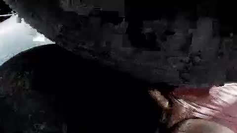 latexchris77 online show from April 16, 2026, 6:25 am