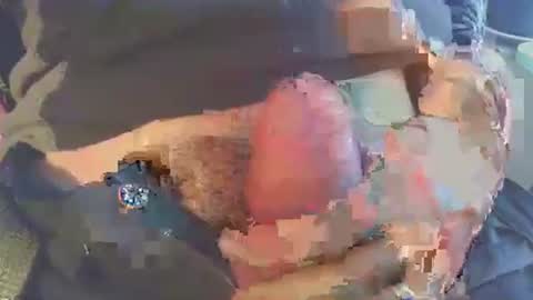 Snapshot of latil chatting on November 29, 2025, 8:39 am joseph online show from November 29, 2025, 8:39 am