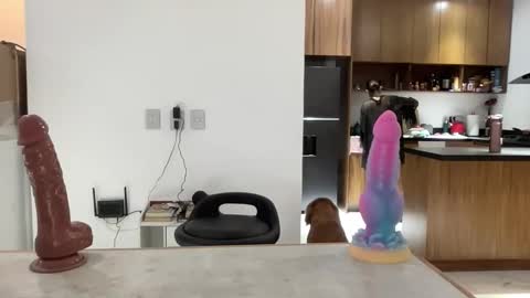 latina_sasha online show from April 16, 2026, 2:01 am