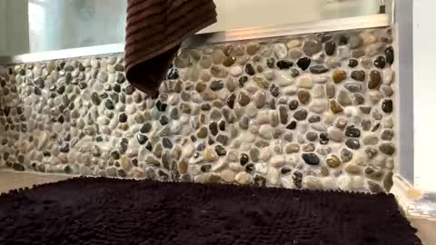 Snapshot of latinlover199518 chatting on April 16, 2026, 1:23 pm latinlover199518 online show from April 16, 2026, 1:23 pm