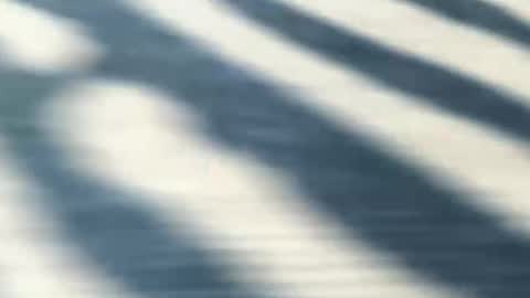 latinlover199518 online show from May 9, 2026, 7:08 pm