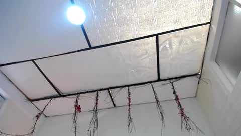 LAURA online show from March 23, 2026, 3:38 pm