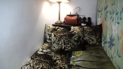 Snapshot of laureen_gavh chatting on February 2, 2025, 8:13 am Belle online show from February 2, 2025, 8:13 am