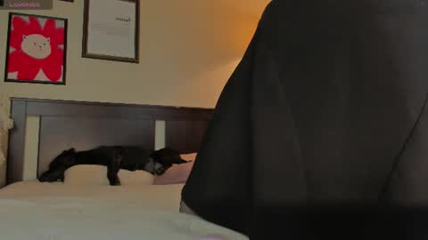 Snapshot of lavender_tender chatting on July 30, 2026, 9:14 pm Lav online show from July 30, 2026, 9:14 pm