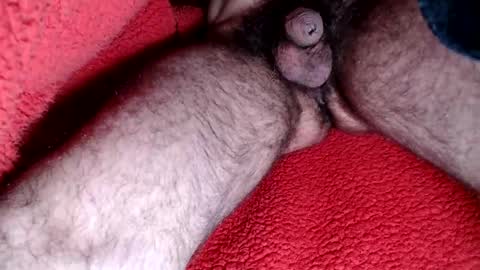 leccameloadesso2 online show from February 15, 2025, 9:15 pm