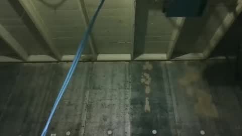 leo199984 online show from February 5, 2026, 3:55 am