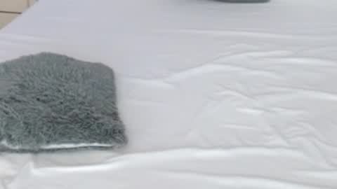 LUCY online show from February 17, 2026, 8:37 pm