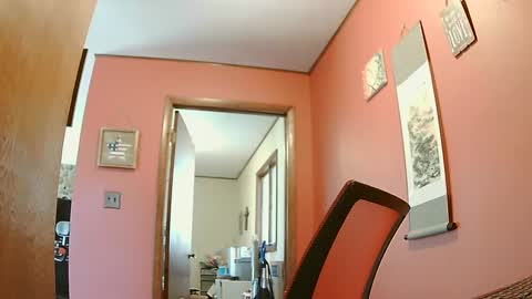 lesgrable67 online show from February 21, 2025, 5:09 pm