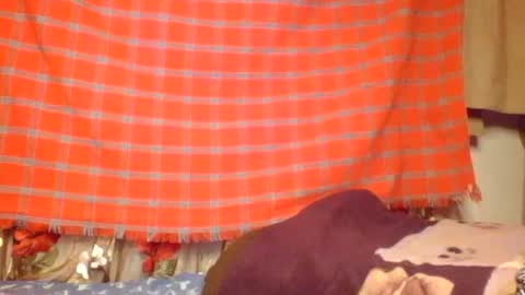 Snapshot of letecia557422 chatting on February 15, 2025, 7:27 am Letecia557422 online show from February 15, 2025, 7:27 am