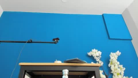 Snapshot of letty_straus chatting on May 22, 2026, 11:05 am Maria Jose online show from May 22, 2026, 11:05 am