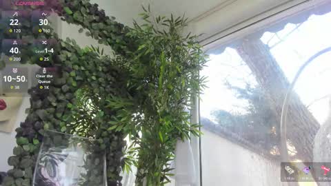 lexi_storm online show from February 12, 2026, 8:09 am