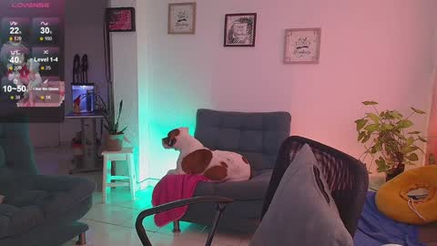Snapshot of lexie_babe chatting on December 16, 2024, 11:33 am Lexie Thompson   8pm  0000am -5 online show from December 16, 2024, 11:33 am