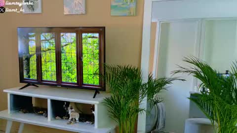 Tell me Liam online show from December 17, 2025, 9:32 pm