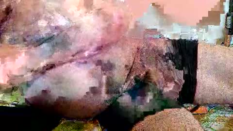 Snapshot of lickingover chatting on April 8, 2026, 11:32 am lickingover online show from April 8, 2026, 11:32 am