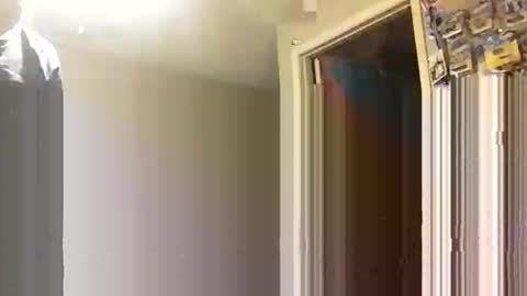 Snapshot of lie2ne chatting on November 16, 2025, 3:50 pm lie2ne online show from November 16, 2025, 3:50 pm