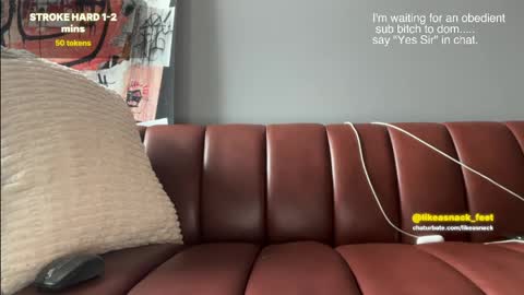 likeasnack online show from April 15, 2026, 2:24 pm