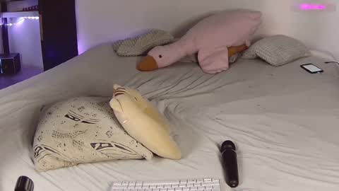 Snapshot of lil_nessa chatting on February 18, 2025, 5:31 am Nessa Greyrat   if u like me tip 25 tk and put  online show from February 18, 2025, 5:31 am