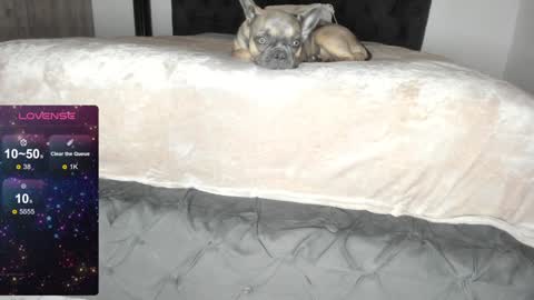 Snapshot of lilith_parker chatting on January 22, 2025, 1:20 am Lilith Parker online show from January 22, 2025, 1:20 am