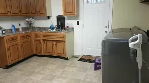 lilly_adams88 online show from February 18, 2026, 11:55 pm