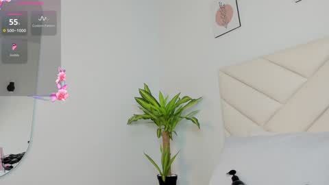   online show from December 1, 2024, 7:03 pm