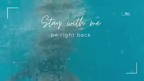 Snapshot of lily_foster_ chatting on September 22, 2025, 5:42 am Lily online show from September 22, 2025, 5:42 am