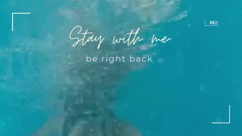 Snapshot of lily_foster_ chatting on September 23, 2025, 7:00 am Lily online show from September 23, 2025, 7:00 am